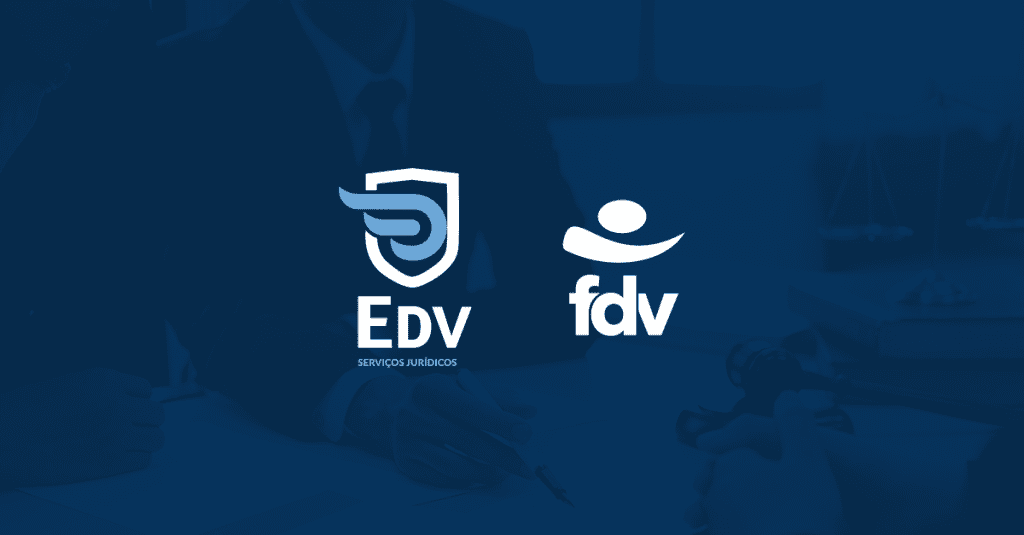 Reconhecimento, Inovação e sucesso marcam a trajetória da EDV Jr em ...
